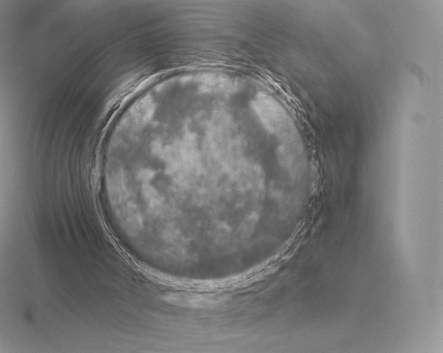 X0000115160002200912081418