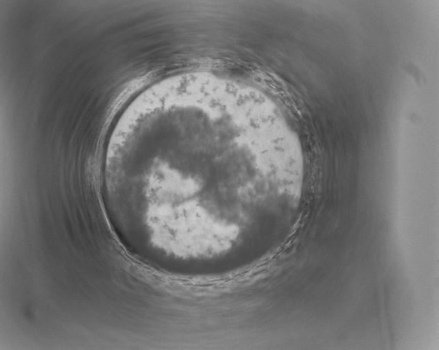 X0000115160003200912081418