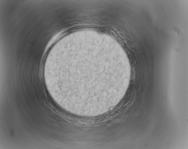 X0000115160004200912081418