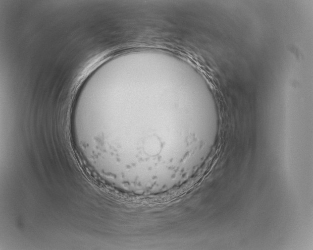 X0000115160005200912081418