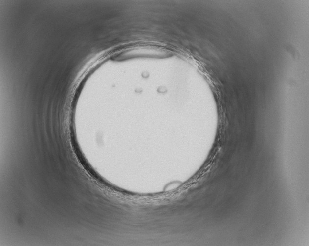 X0000115160007200912081418