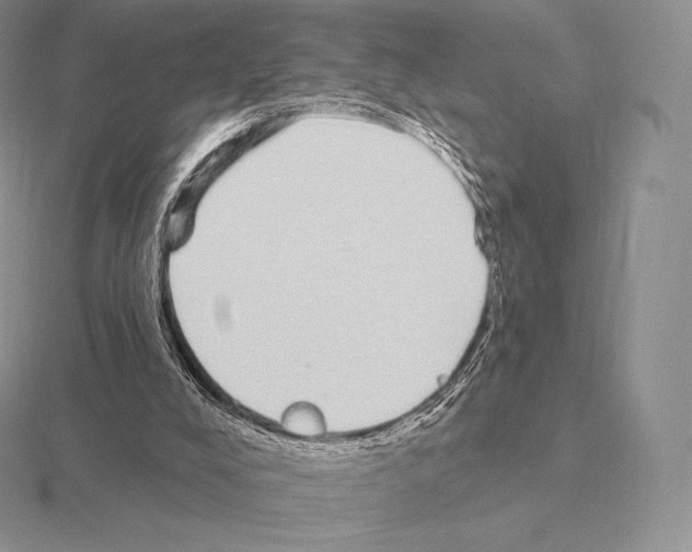 X0000115160008200912081418