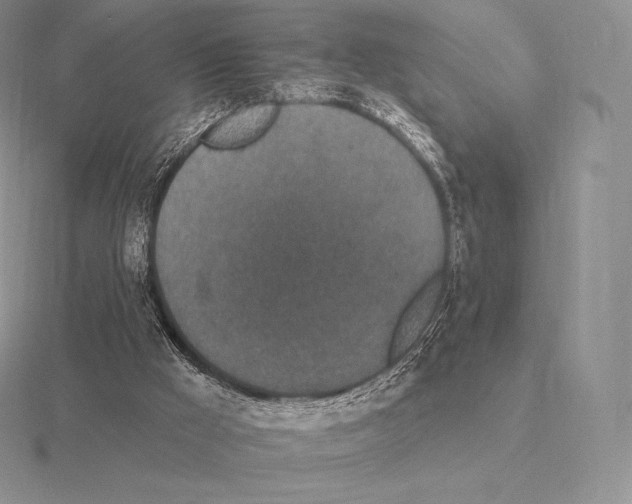 X0000115160009200912081418