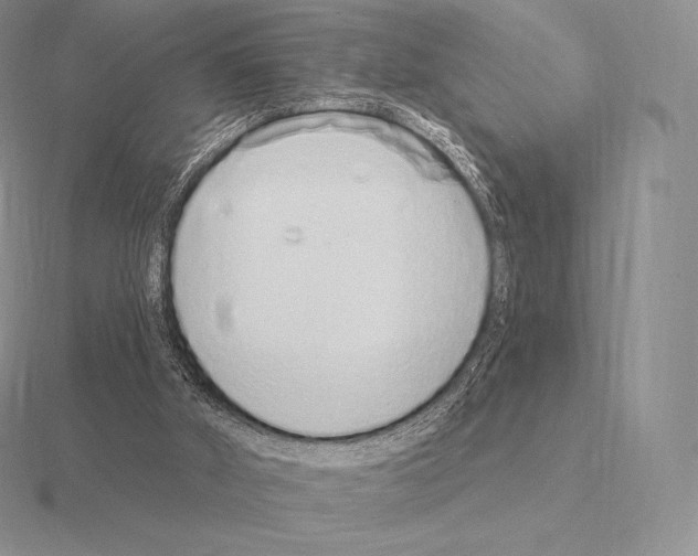 X0000115160010200912081418