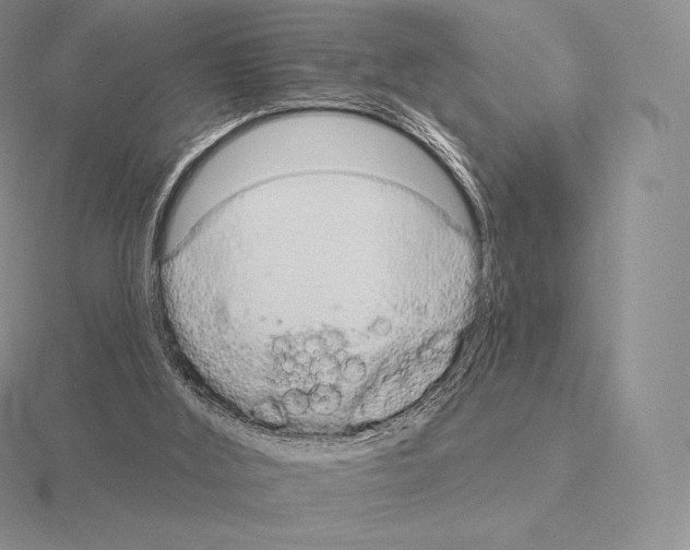 X0000115160012200912081417