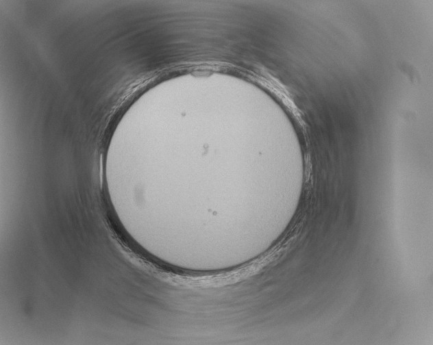 X0000115160013200912081417