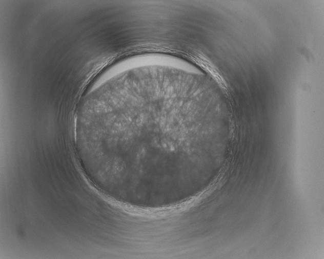 X0000115160014200912081417