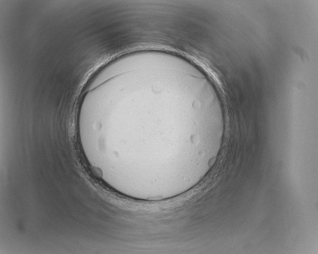 X0000115160015200912081417