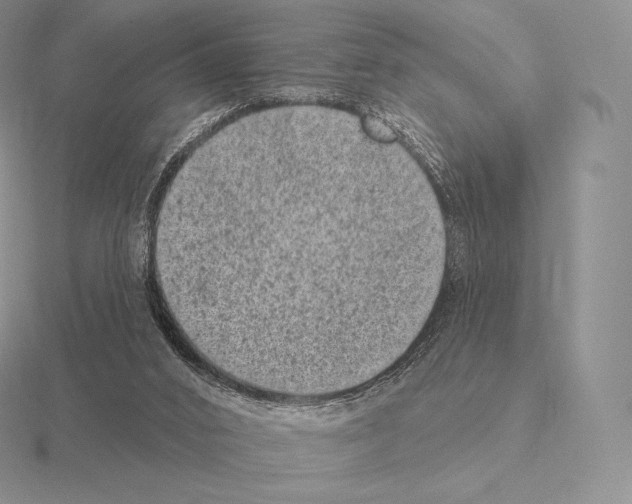 X0000115160016200912081417