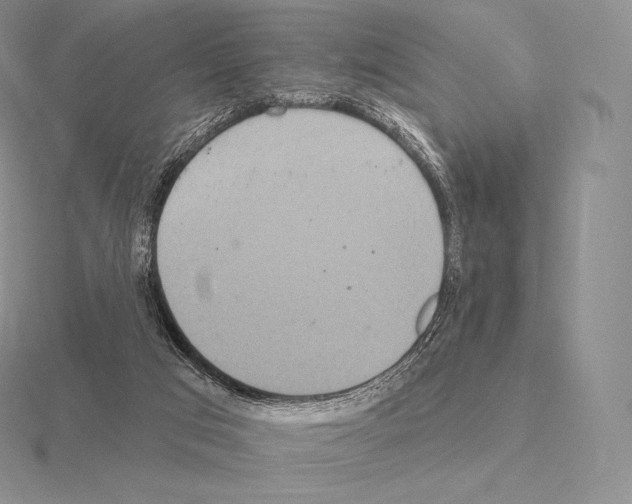 X0000115160017200912081417