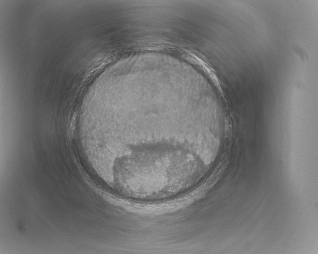 X0000115160018200912081417