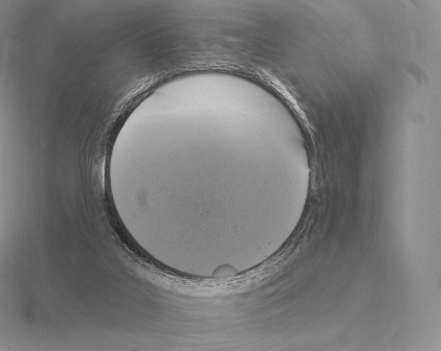 X0000115160019200912081417