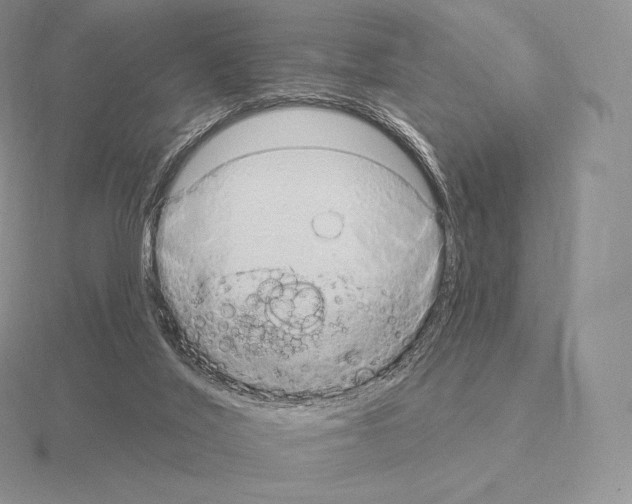 X0000115160020200912081417