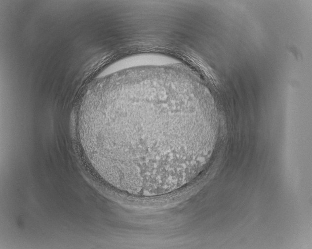 X0000115160022200912081417