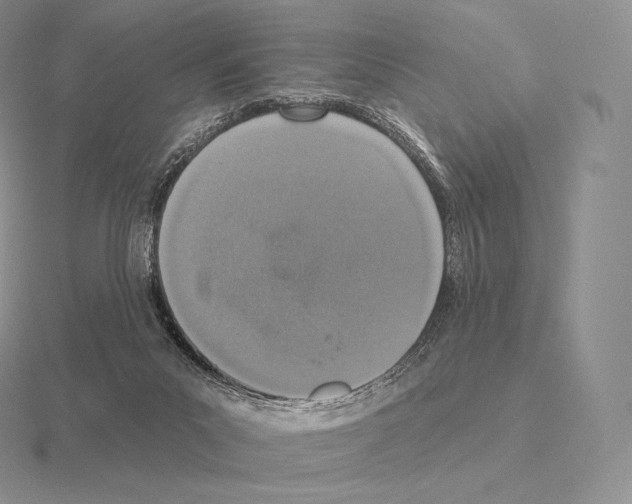 X0000115160023200912081417