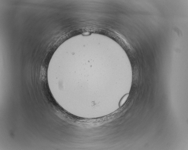 X0000115160025200912081417