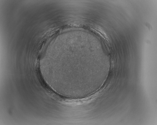 X0000115160029200912081417