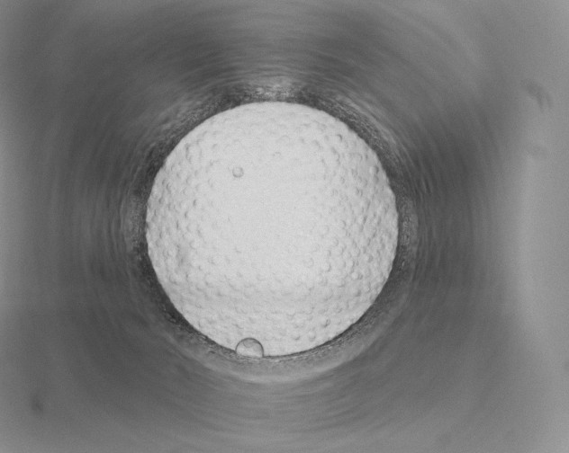 X0000115160030200912081417