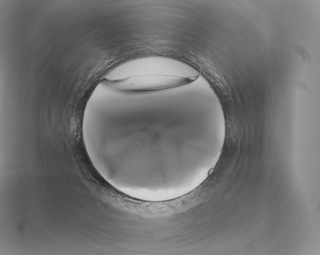 X0000115160031200912081417