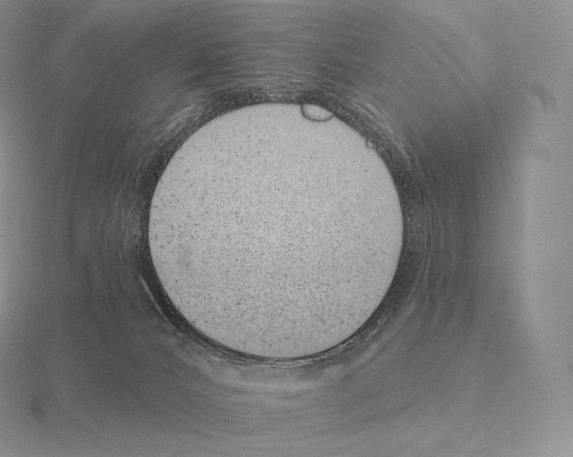 X0000115160032200912081417