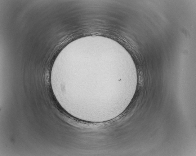 X0000115160036200912081417