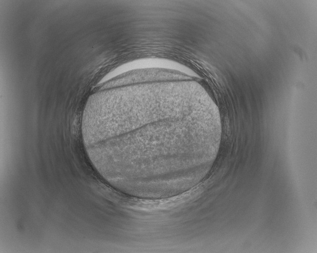 X0000115160037200912081417