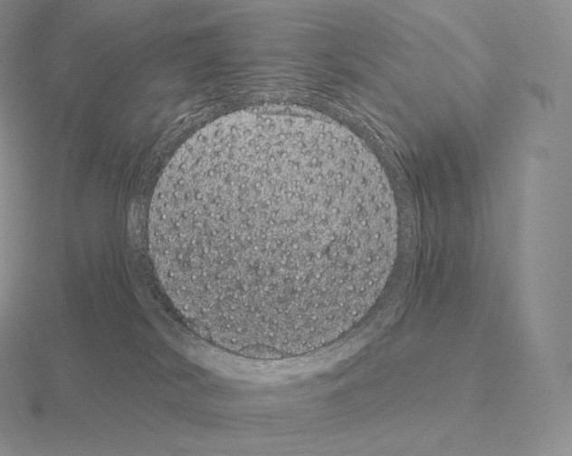 X0000115160038200912081417