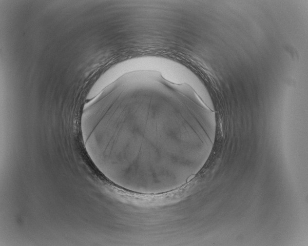 X0000115160039200912081417