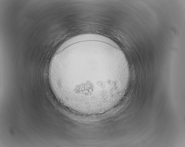 X0000115160040200912081417