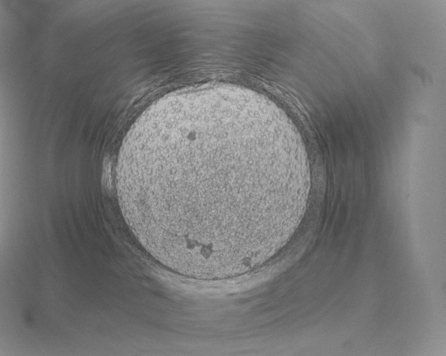 X0000115160042200912081417