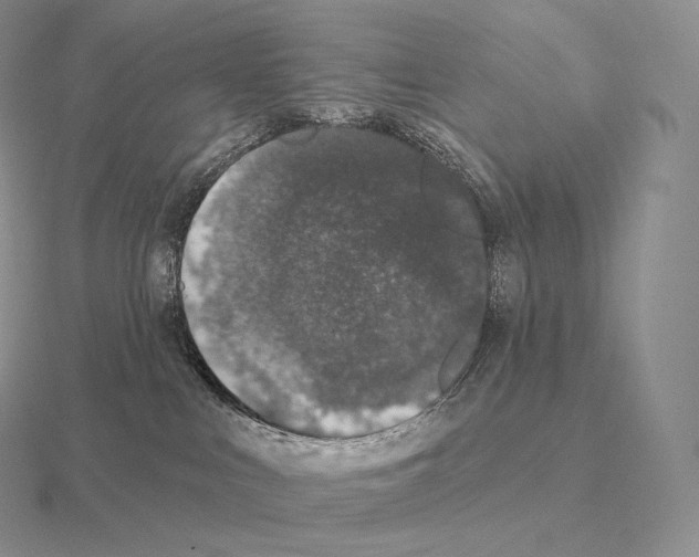 X0000115160043200912081417