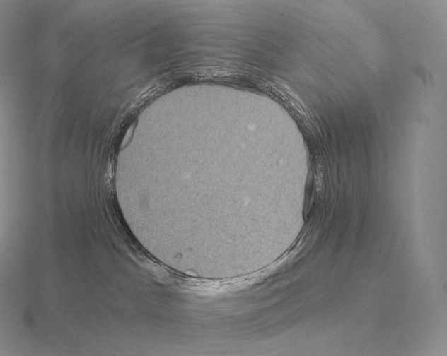 X0000115160045200912081417