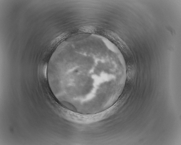 X0000115160047200912081417