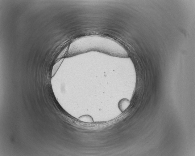 X0000115160048200912081417