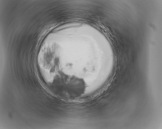 X0000115160049200912081416