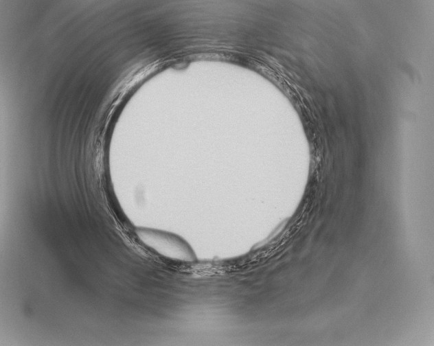 X0000115160050200912081416