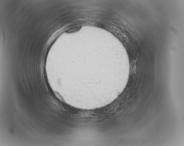 X0000115160051200912081416