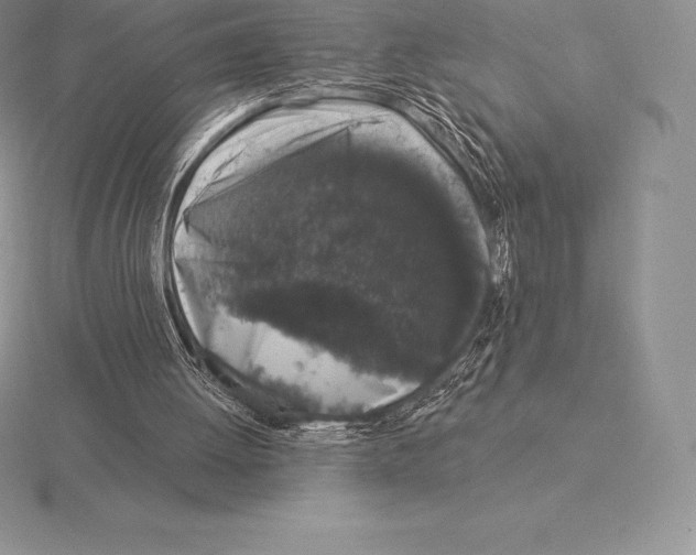 X0000115160052200912081416