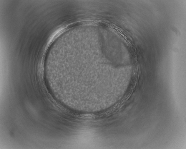 X0000115160053200912081416