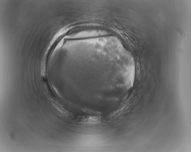 X0000115160056200912081416