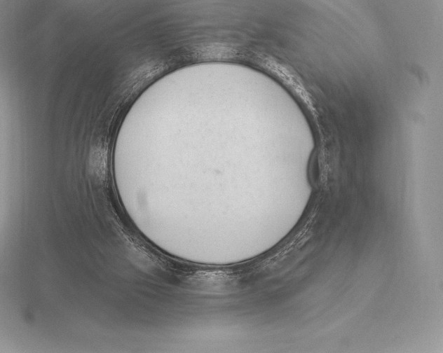 X0000115160057200912081417