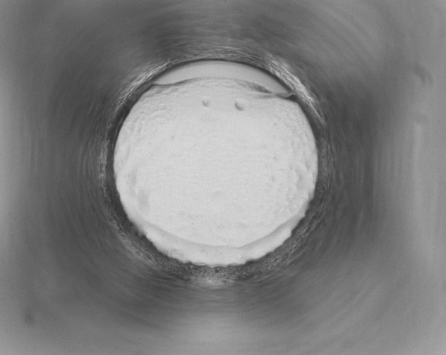 X0000115160058200912081417