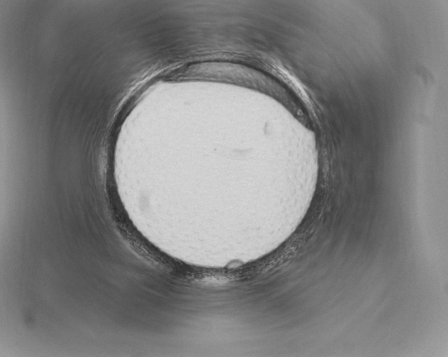 X0000115160059200912081417