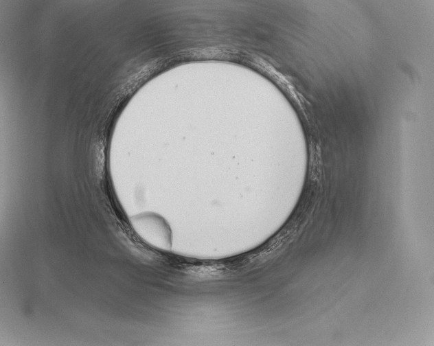 X0000115160061200912081417