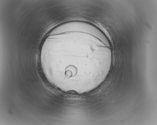 X0000115160063200912081417