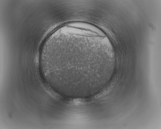 X0000115160064200912081417