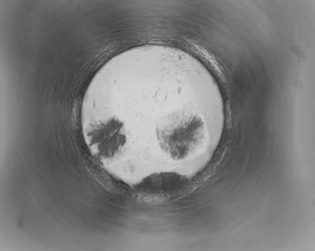 X0000115160065200912081417