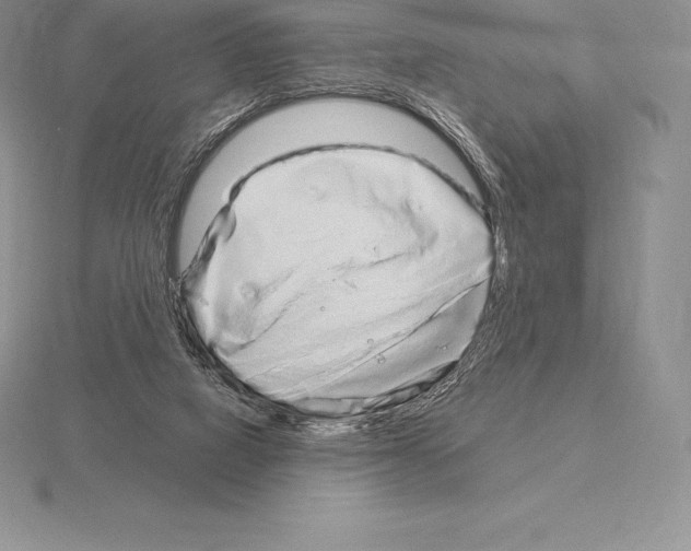 X0000115160066200912081417