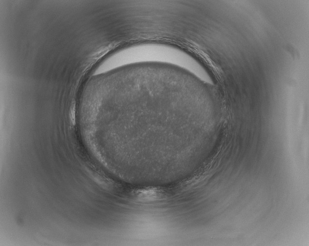 X0000115160068200912081417