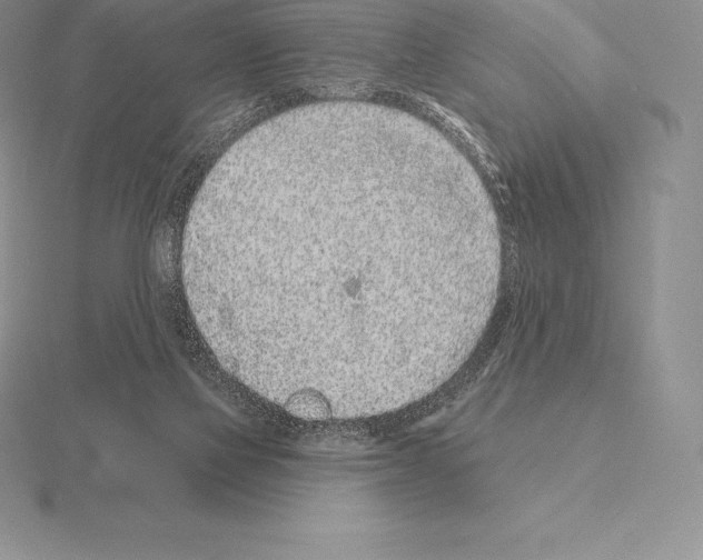 X0000115160069200912081417